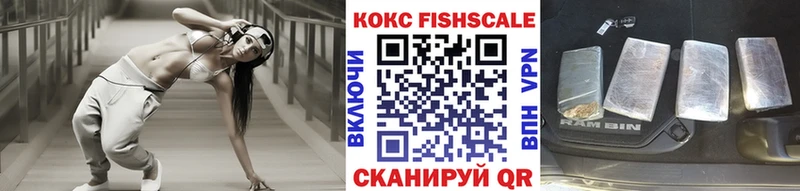 COCAIN Fish Scale  где купить наркоту  Старица 