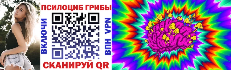 Псилоцибиновые грибы прущие грибы Старица